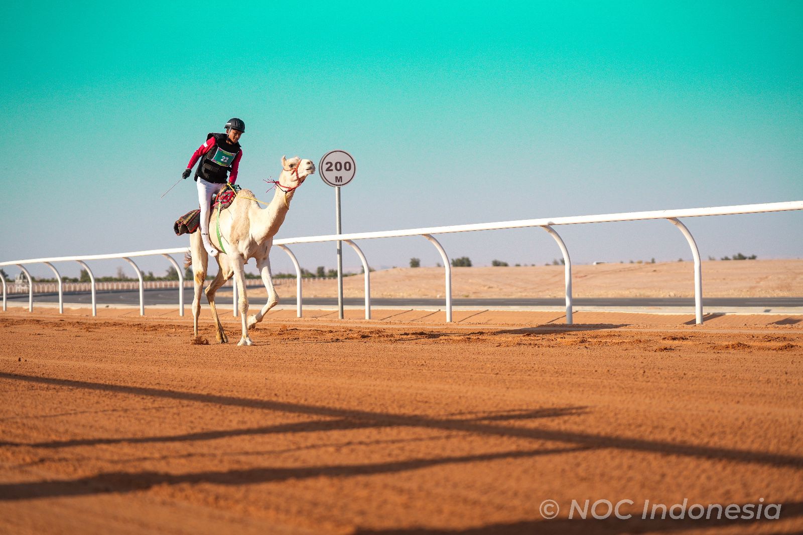 Indonesia Olympic Commitee - Ikhwan Breaks into Top 10 in Camel Racing Final at the Islamic Solidarity Games 2025